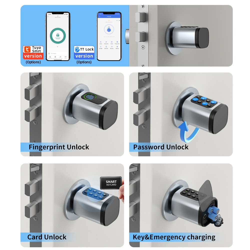 RAYKUBE V1 Tuya BLE TT Lock Ум – обзор и цена Home Automation System Diy